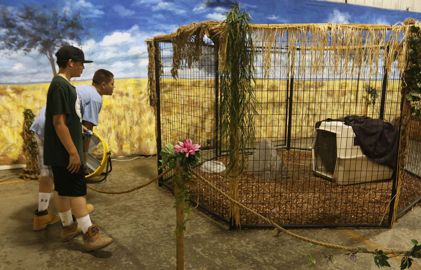 Animal of Egypt exhibit at Kings Fair